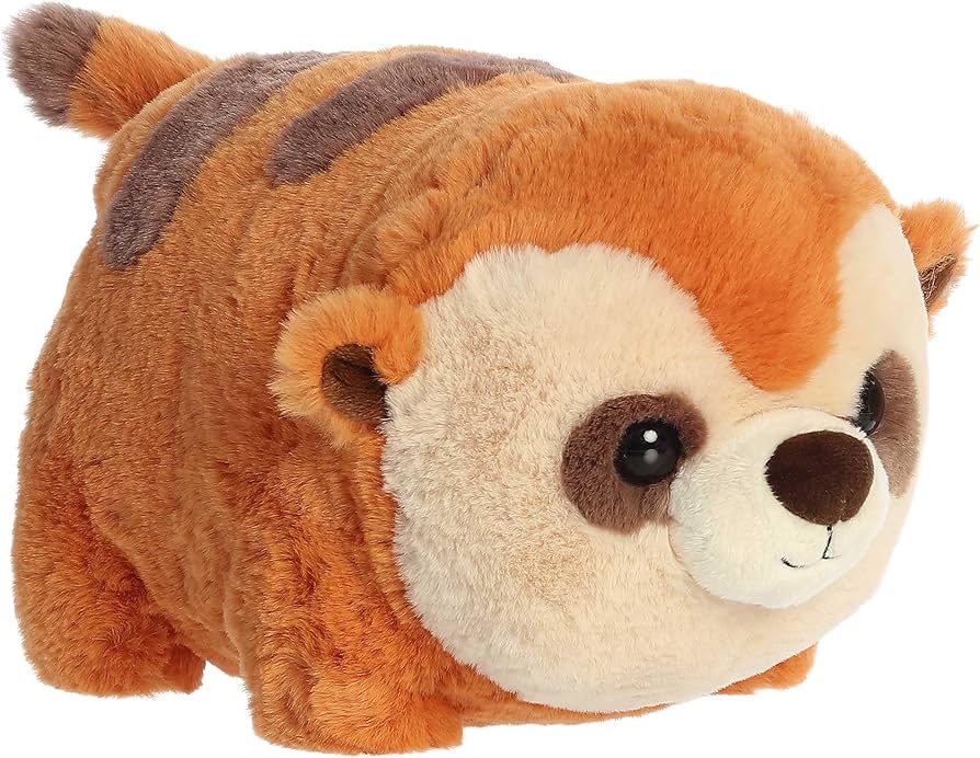 Read more about the article Ferdinand Marcos Biography: Age, Net Worth, Career, and Presidential Legacy