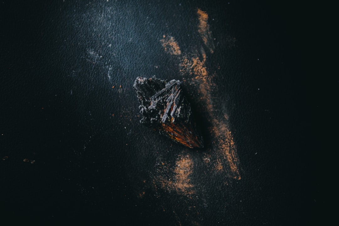 a starfish in the water