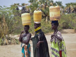 Read more about the article Kenya’s Turkana Region Faces Drought Amid National Food Surplus