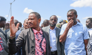 Read more about the article Sifuna and Babu lead the pack in Nairobi Senate, governor race Biography