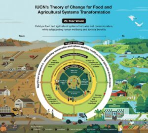Read more about the article Europe’s Food System Contributes to One-Fifth of Environmental Impacts
