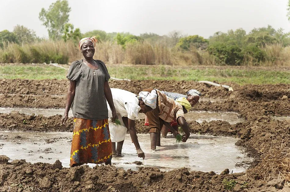 Read more about the article Ghanaian Women Farmers Embrace Agroecology Amid Rising Climate Change