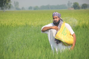 Read more about the article India’s Agricultural Productivity Hinges on Balanced Fertiliser Use Strategies