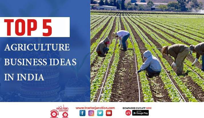 Read more about the article India’s Top 5 Agriculture Business Ideas for Profitable Farming in 2026