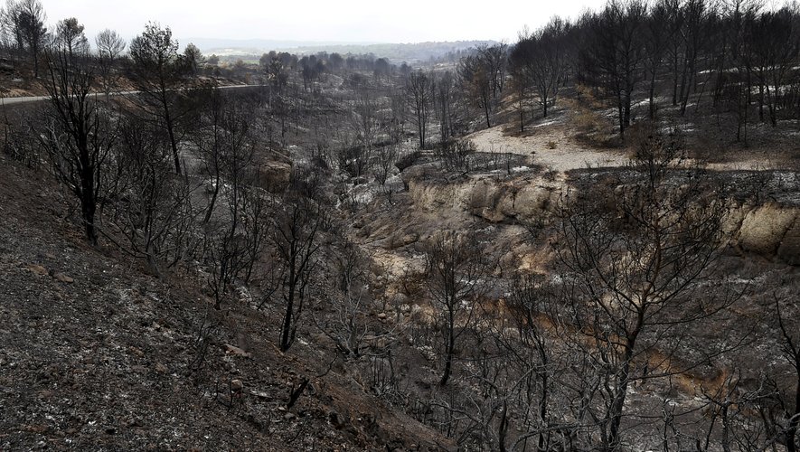 Read more about the article Latest Update on Incendie dans l’Aude : un agent de l’ONF mis en examen et placé sous contrôle judiciaire