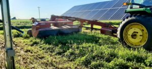 Read more about the article Michigan Farm Pioneers Agrivoltaics for Sustainable Future Growth