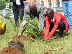 Read more about the article Nairobi City Marathon Partners with Eco-Friendly Tree Planting Initiative