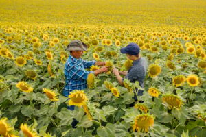 Read more about the article Top Farming Business Ideas Leverage Technology for Sustainable Growth